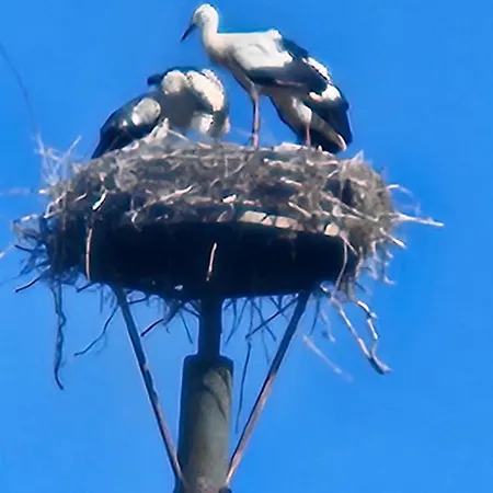 09 Gaenseweide - Hof Wiesengrund * Parchtitz