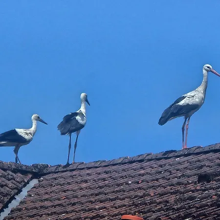 09 Gaenseweide - Hof Wiesengrund 公寓 *