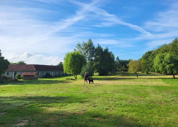 09 Gaenseweide - Hof Wiesengrund Lejlighed *